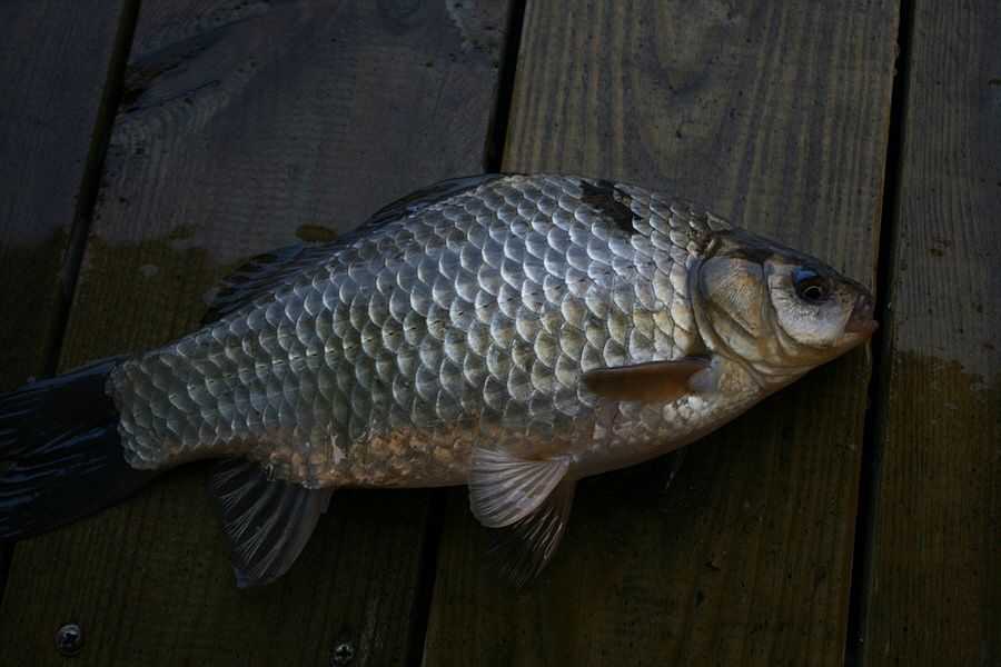 �ٹ̱�_�ź��� ���� 419.jpg