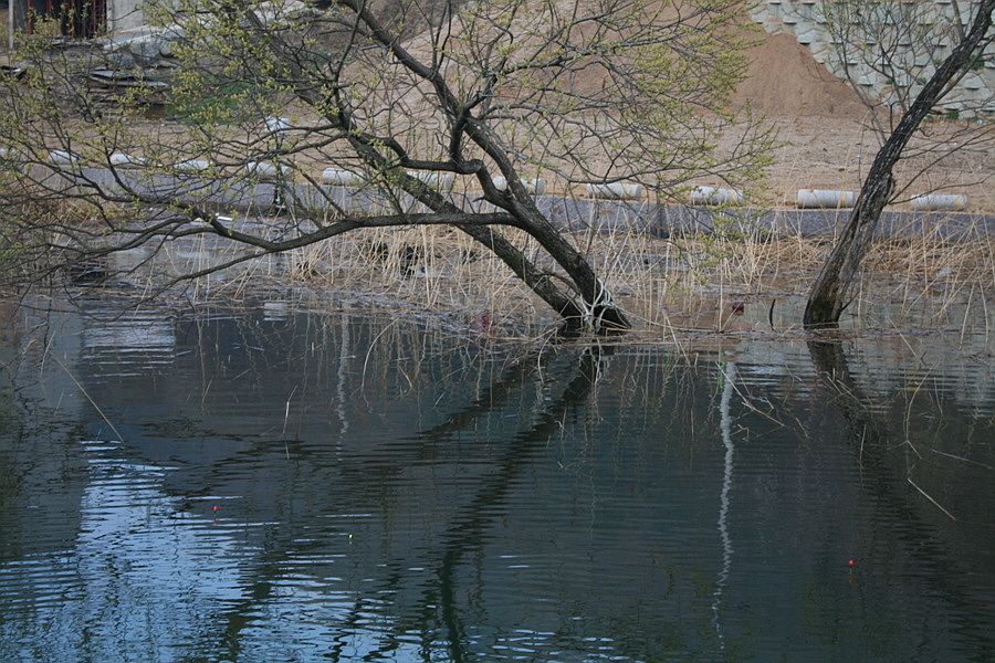 �ٹ̱�_�ź��� ���� 431.jpg