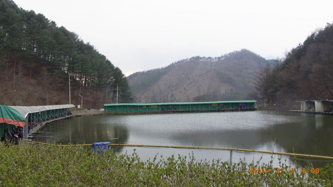 R0017580.JPG