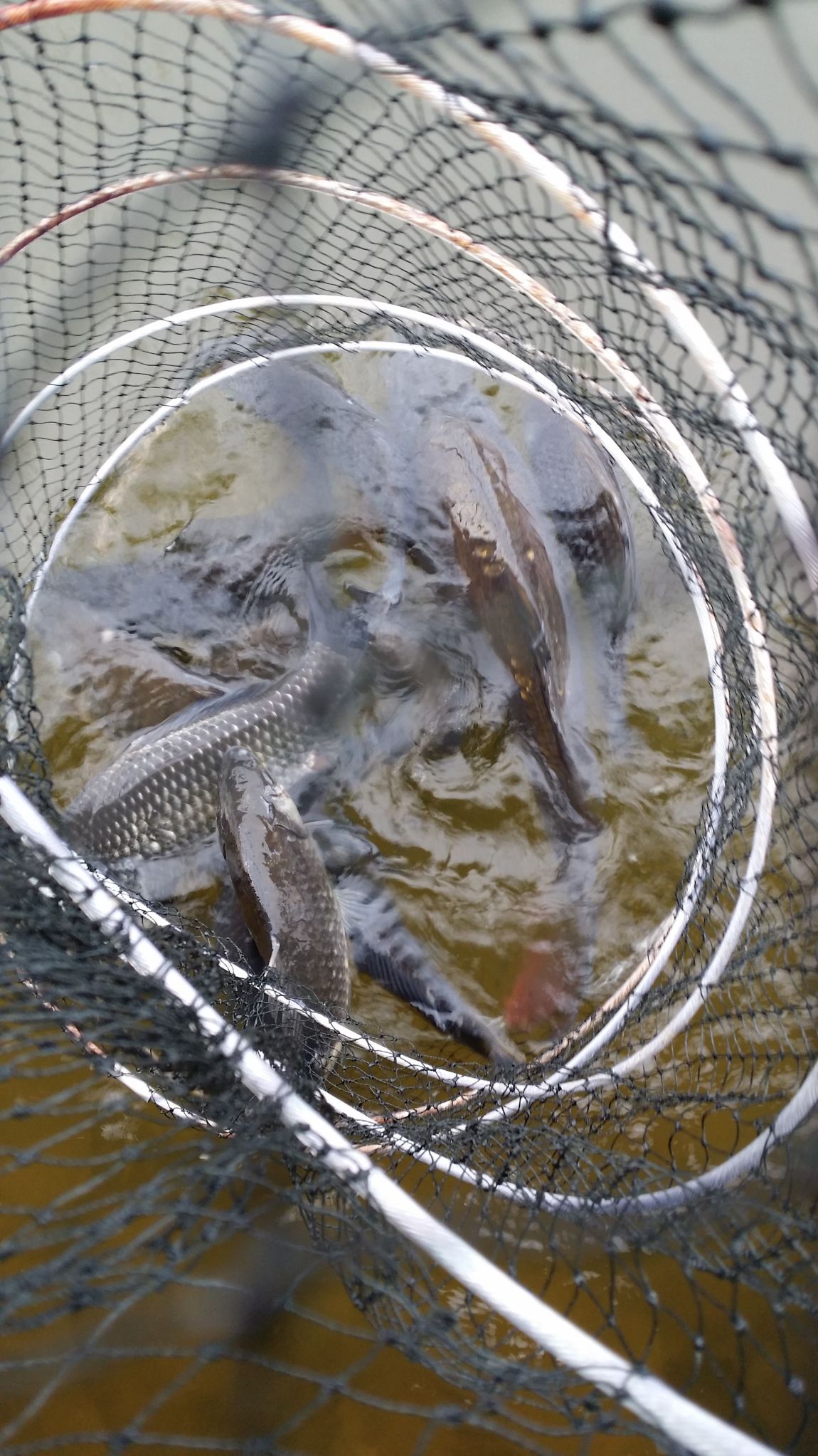20140407_072200.jpg