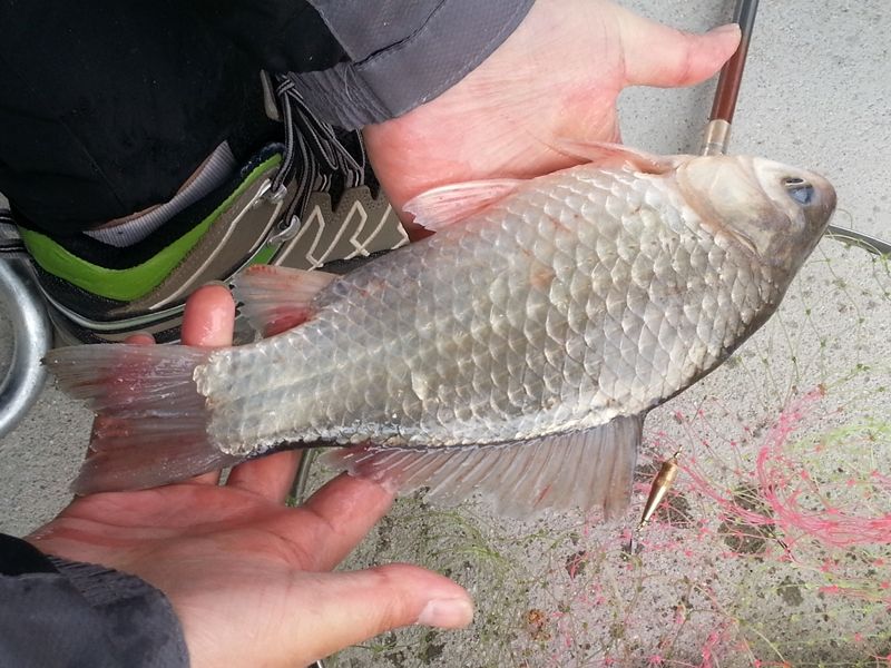 20140405_174007.jpg