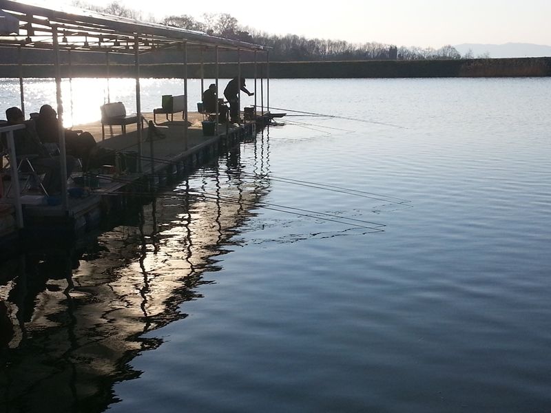 20140406_072926.jpg