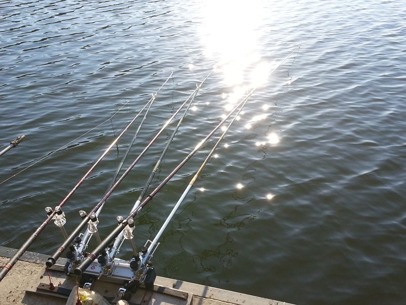 20140406_073247.jpg