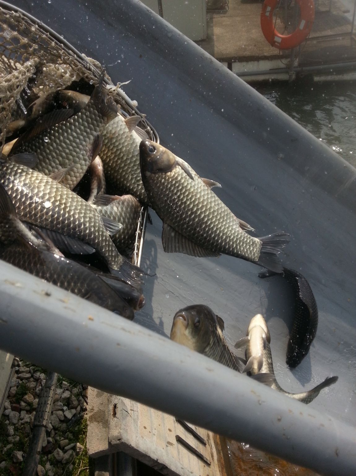 20140405_123550.jpg