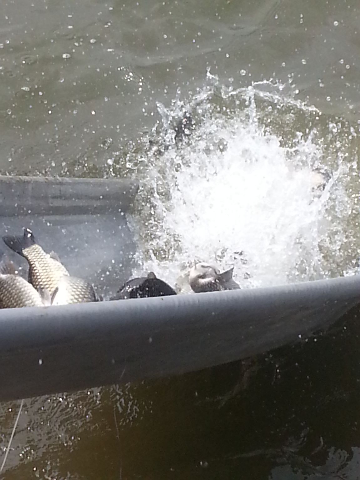 20140405_123611.jpg