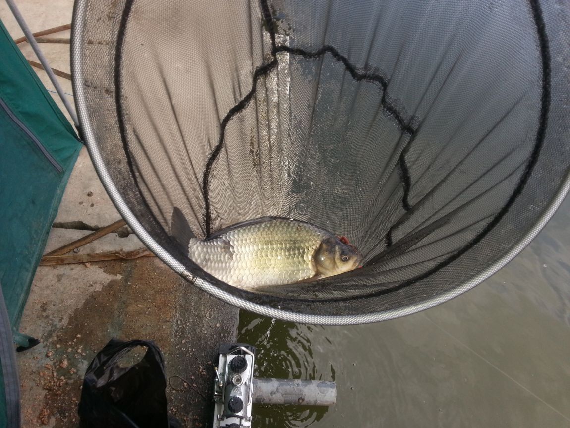 20140405_153429.jpg
