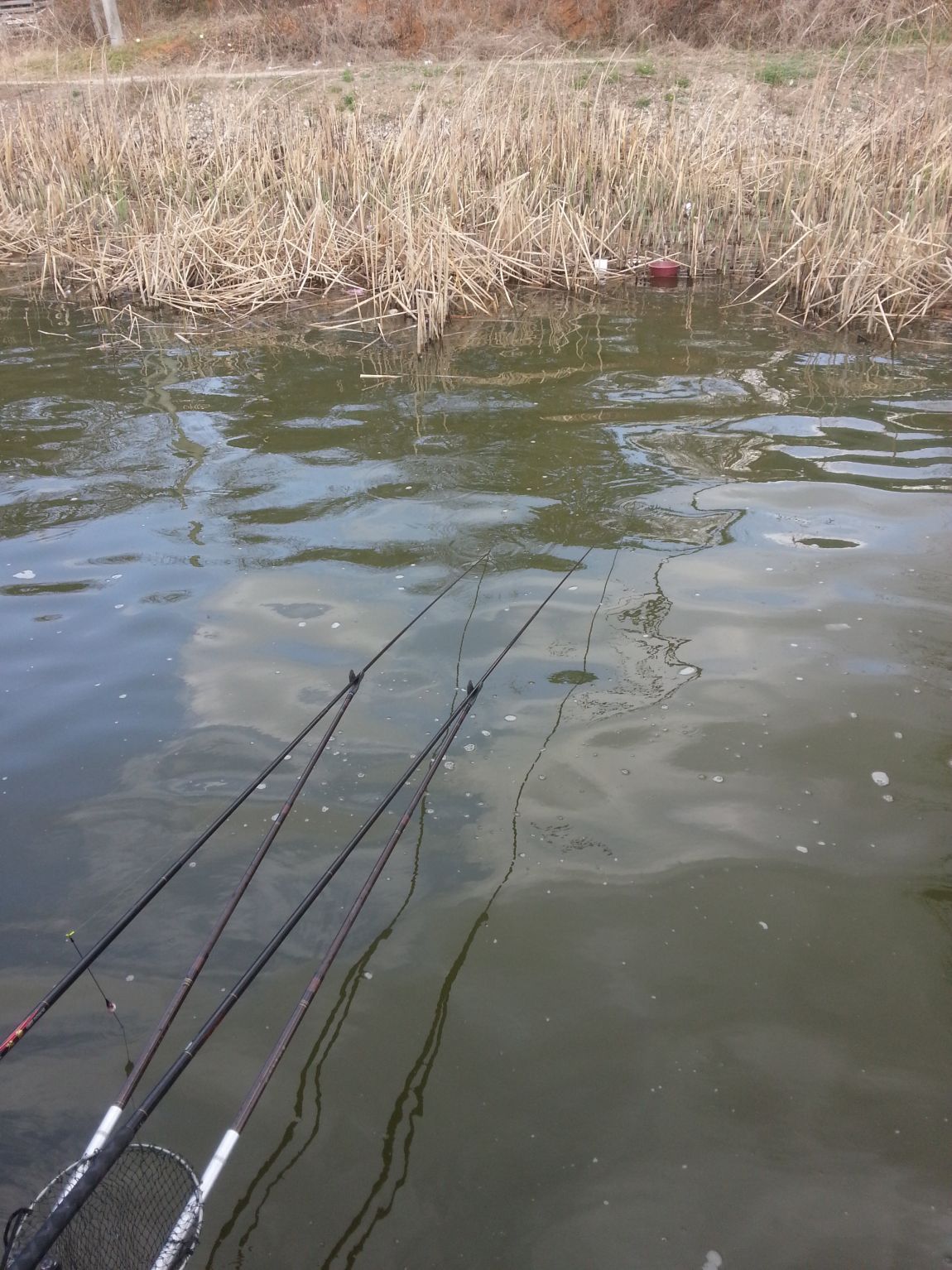 20140405_153436.jpg