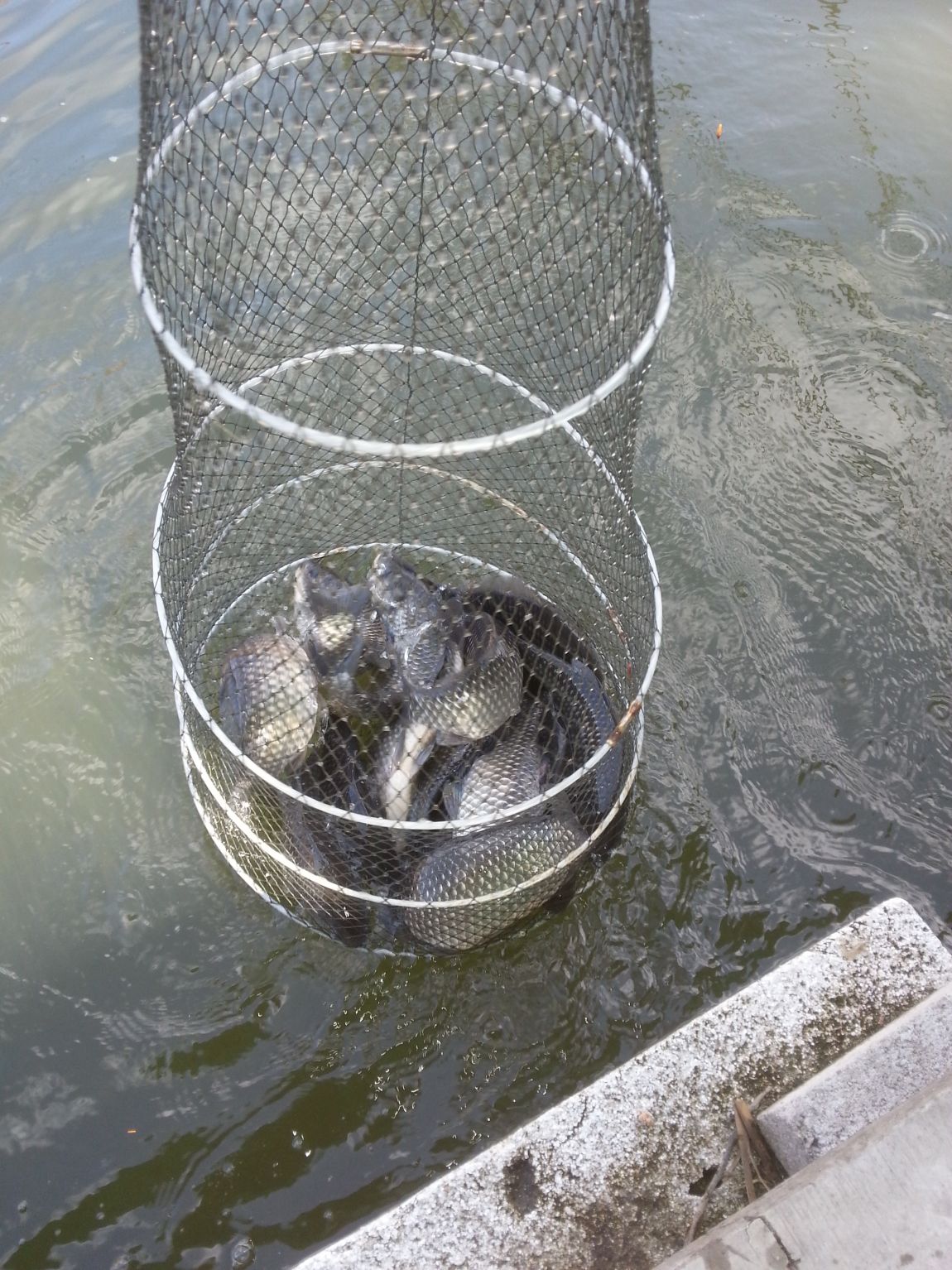 20140405_162254.jpg