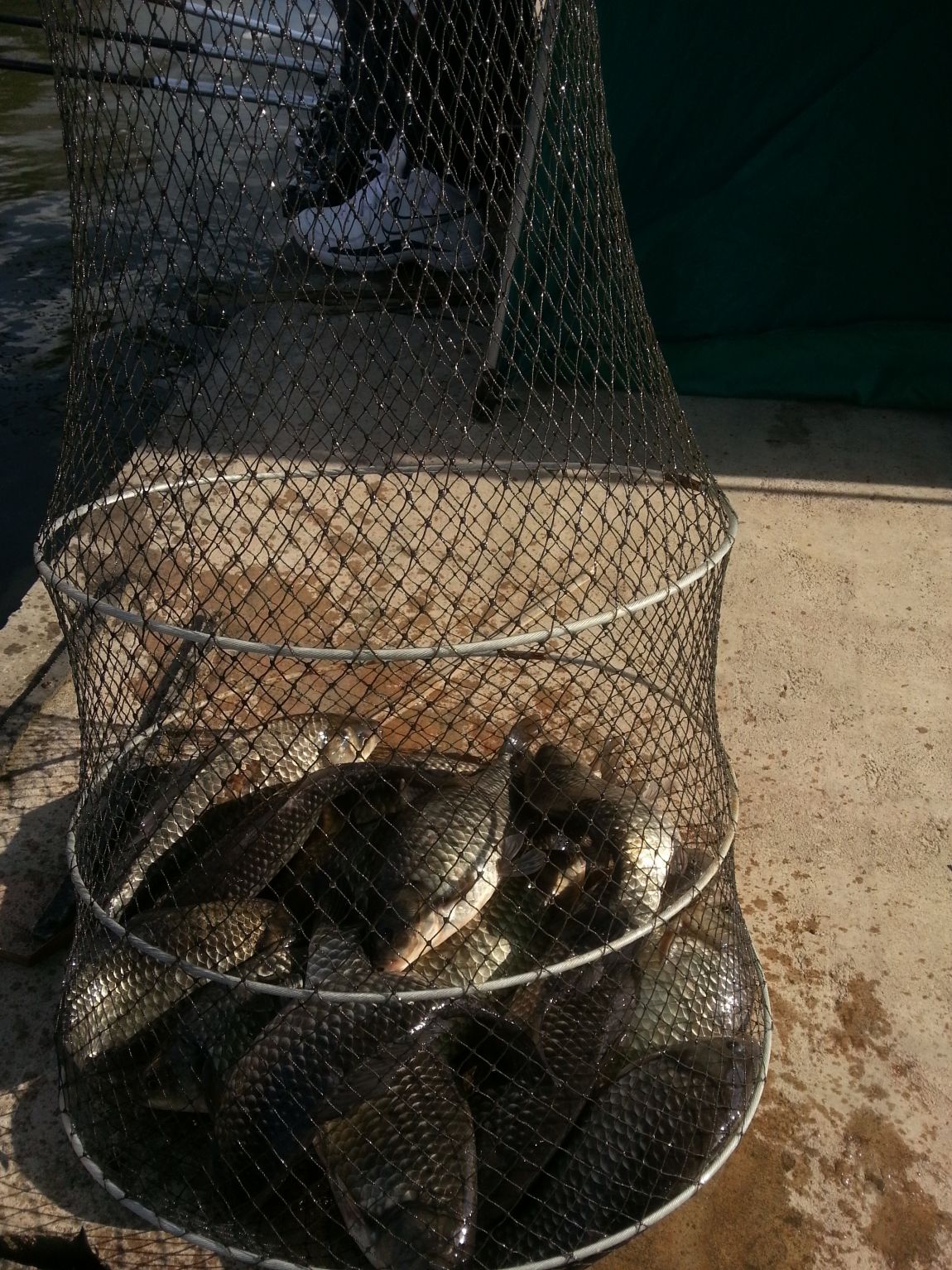 20140405_162309.jpg