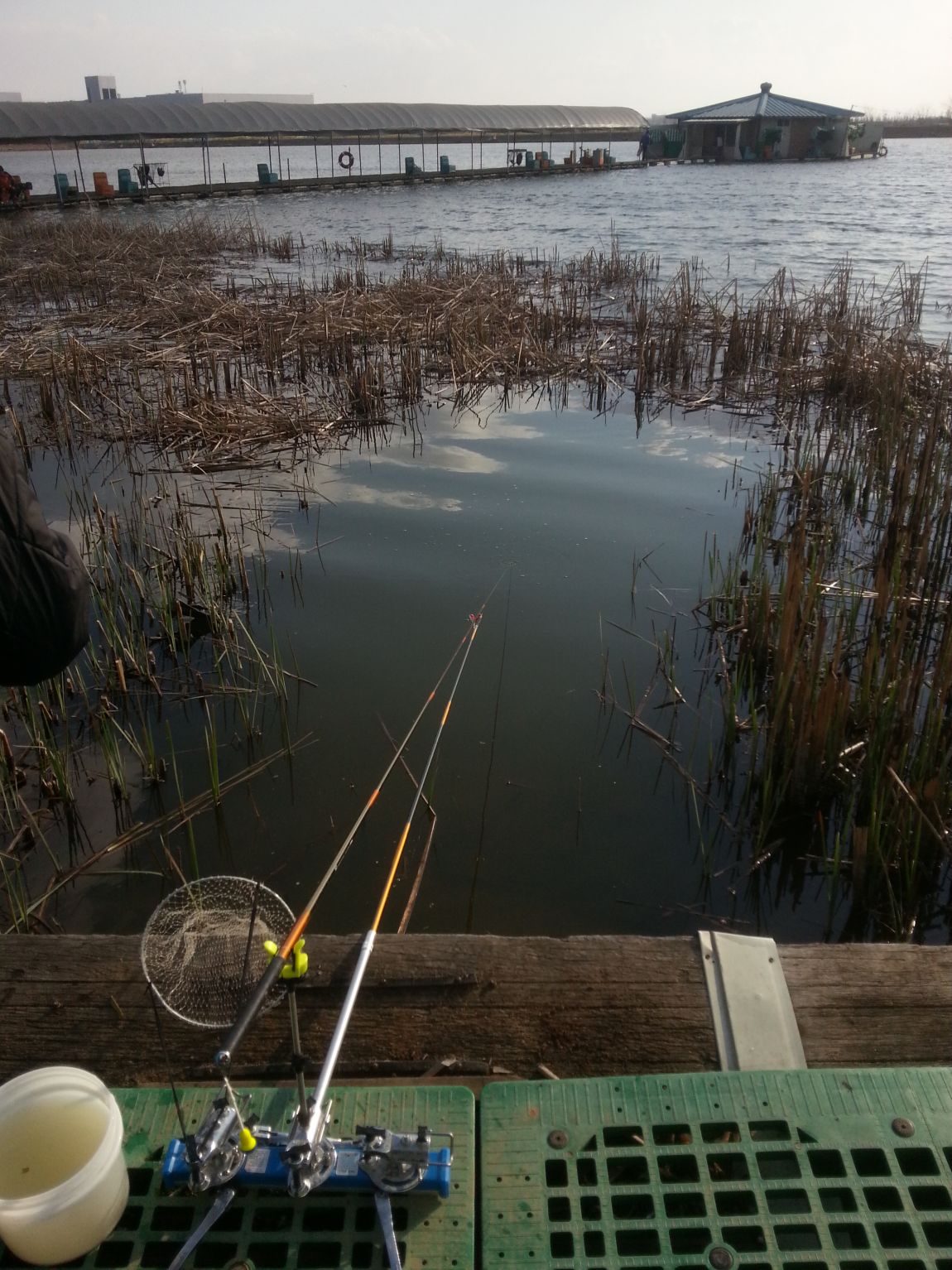 20140405_163803.jpg