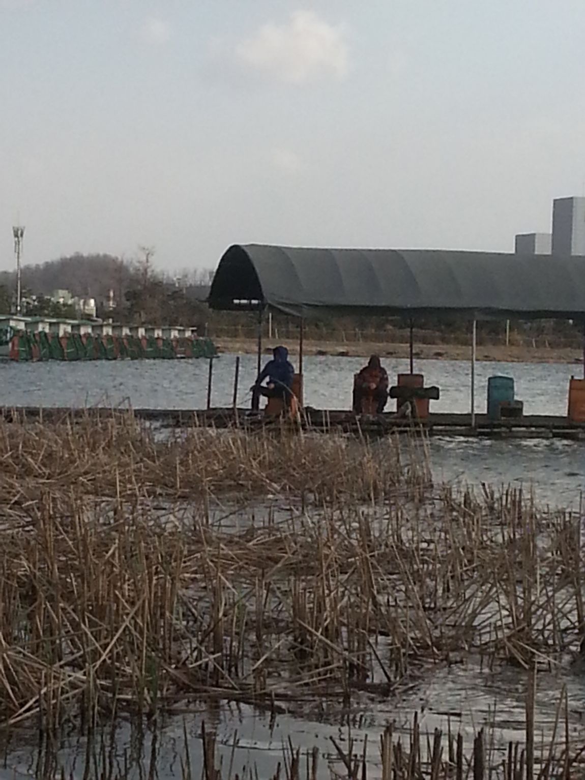 20140405_164246.jpg