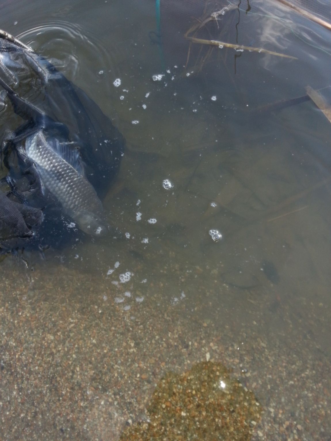 20140405_164353.jpg