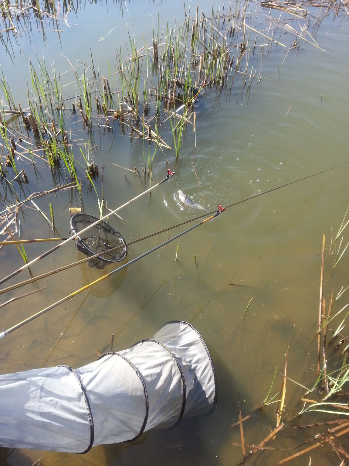 20140406_091053.jpg