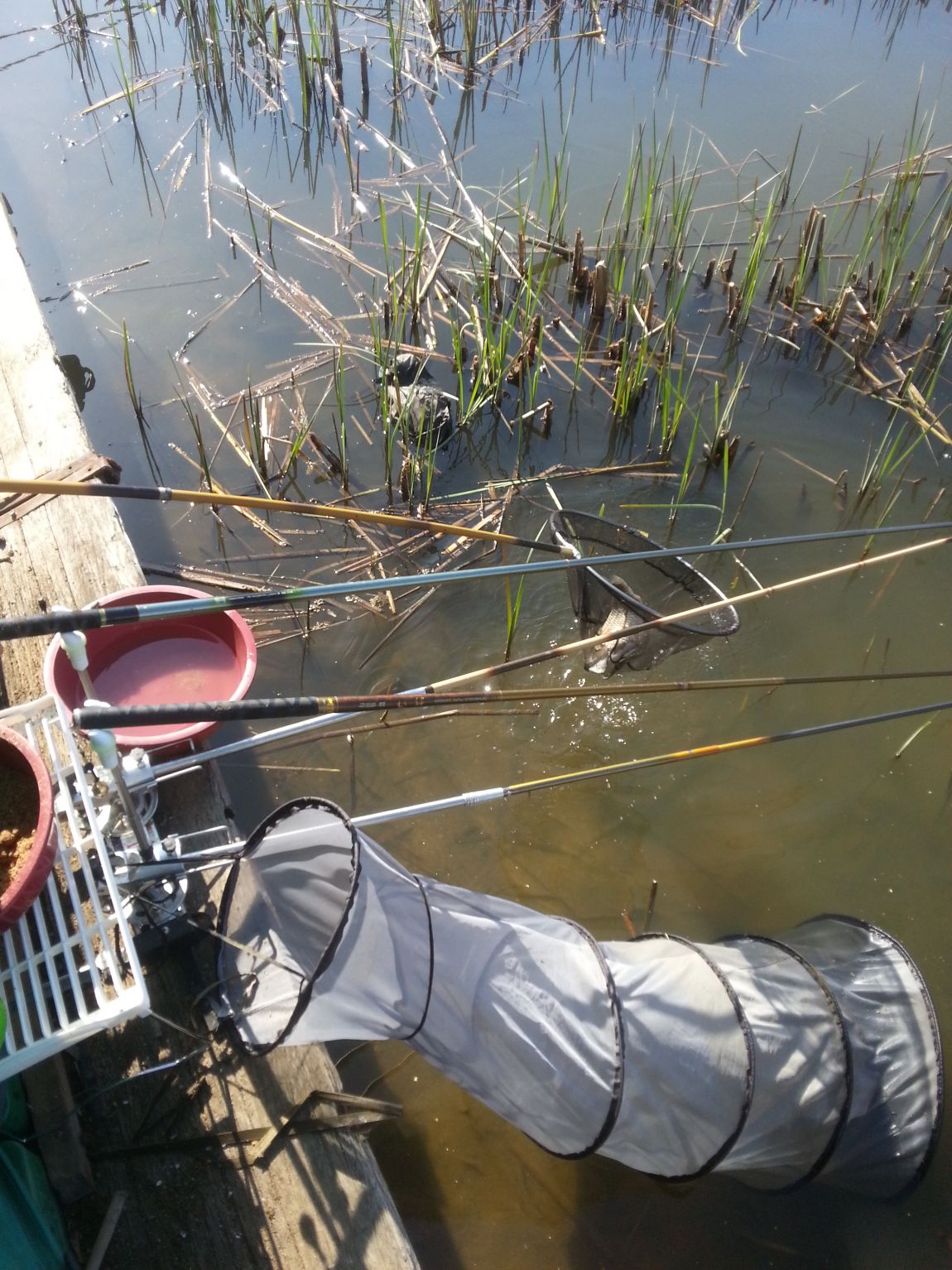 20140406_091102.jpg