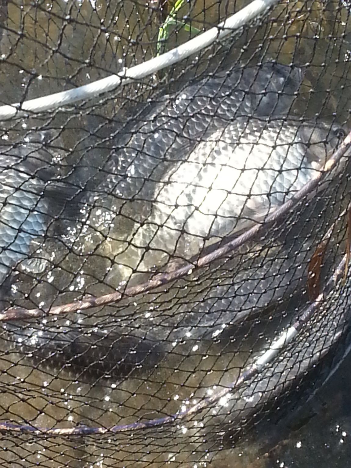 20140406_091310.jpg
