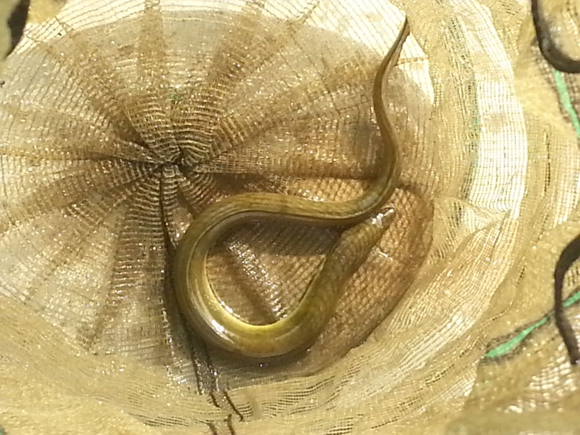 20140407_093152.jpg