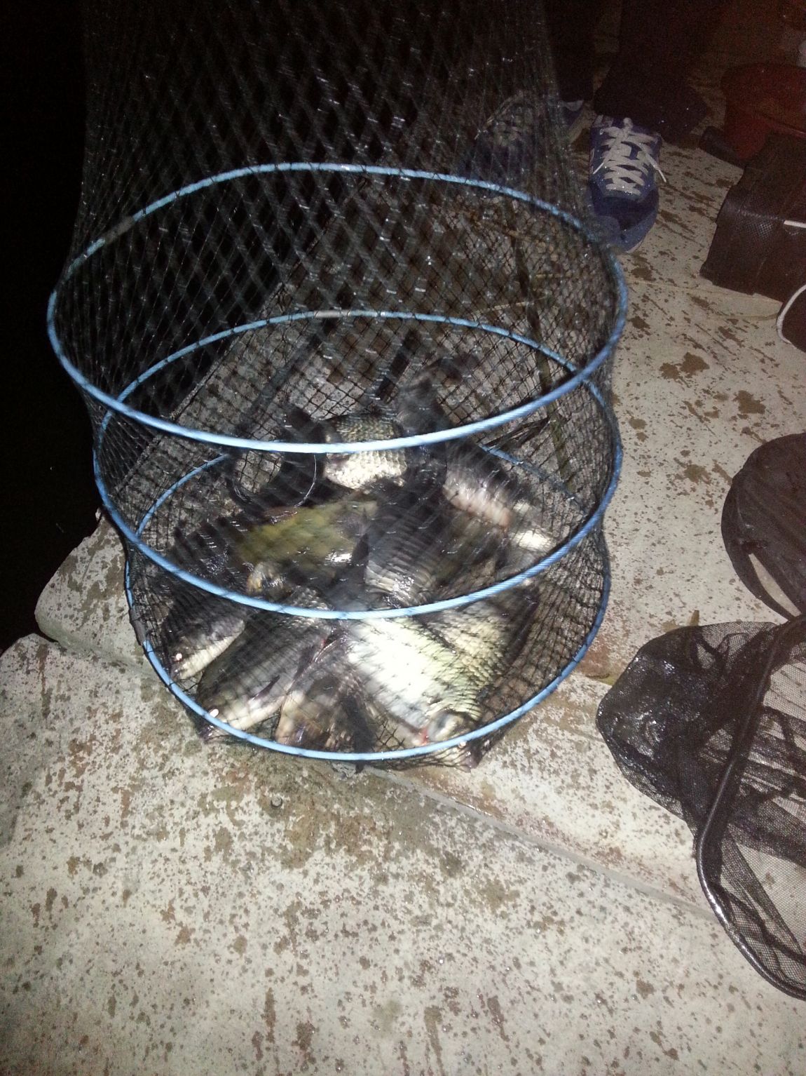 20140407_202948.jpg