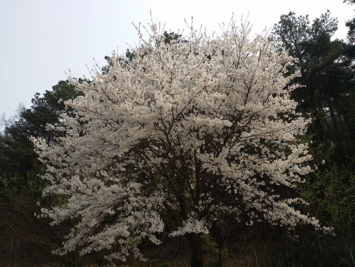 20140411_125541.jpg