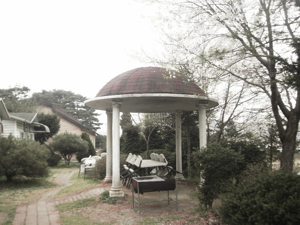 SDC10266.JPG