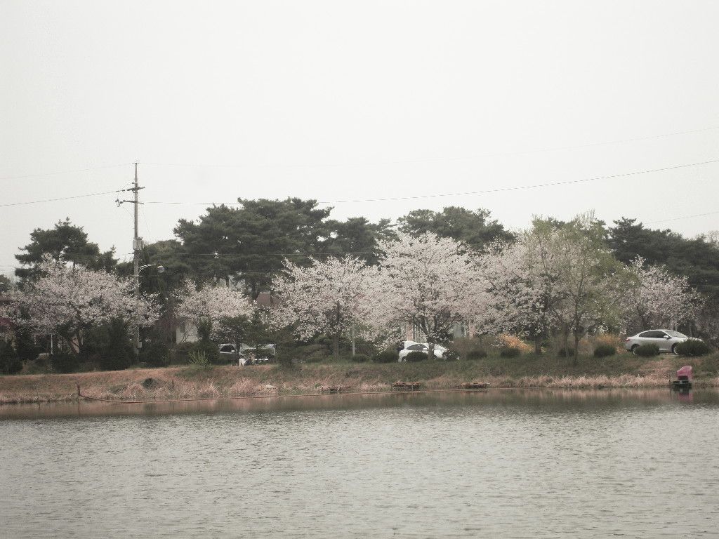 SDC10267.JPG