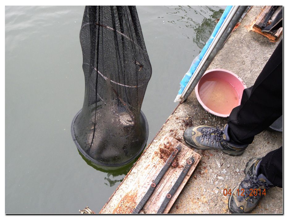 Untitled-2 copy 2.jpg