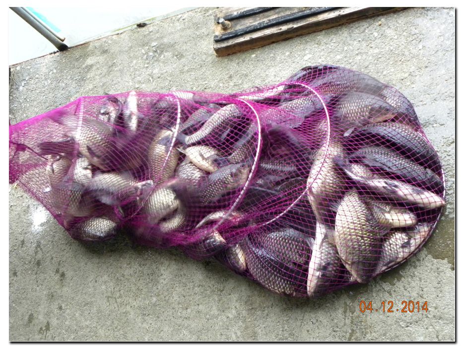 Untitled-2 copy 4.jpg