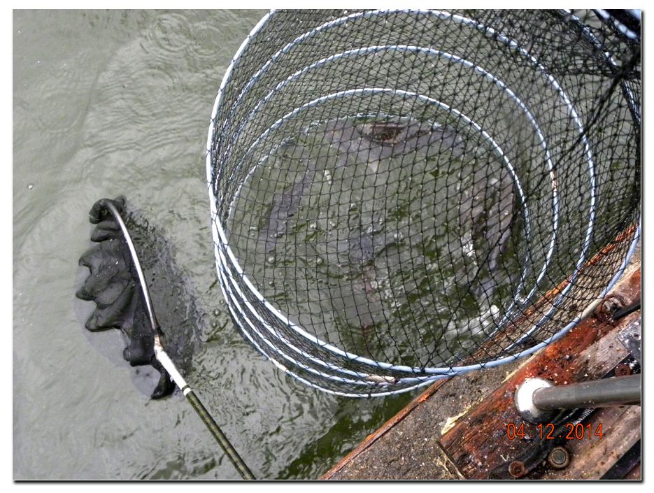 Untitled-2 copy 6.jpg