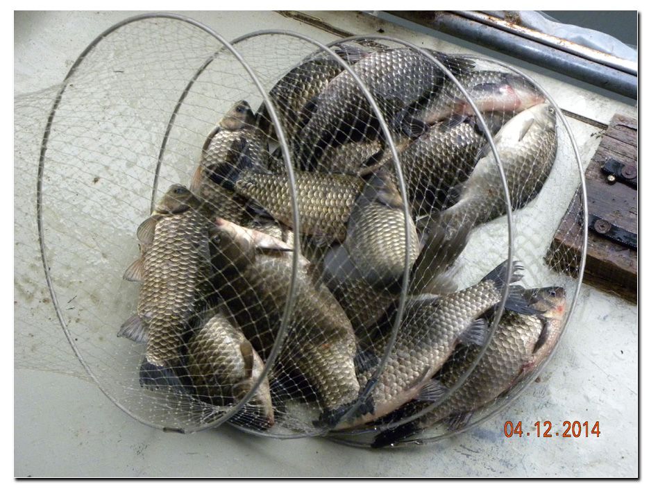 Untitled-2 copy 7.jpg