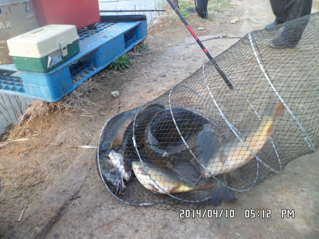 010.JPG