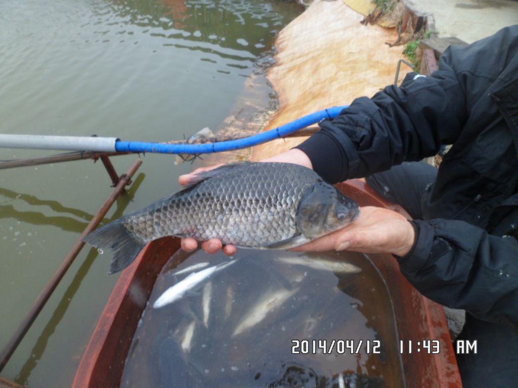 021.JPG
