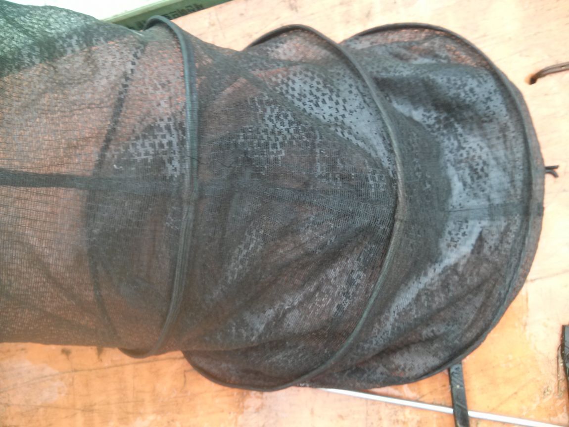 CAM00867.jpg