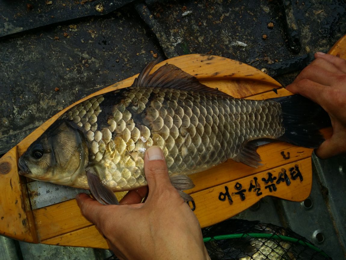 20140412_153715.jpg