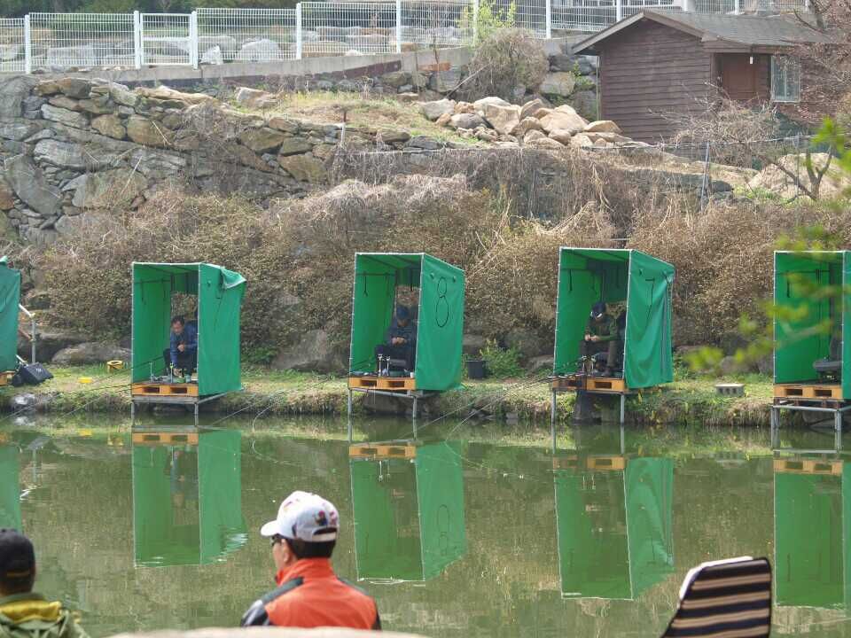 1397450042098.jpg