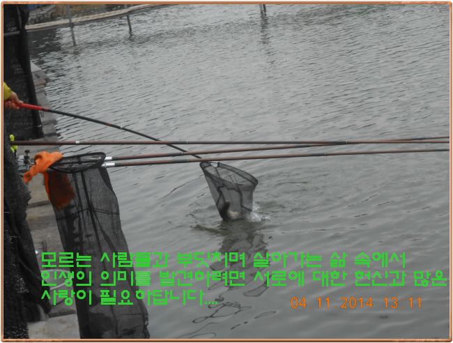 ٹ̱_DSCN0471[1].jpg
