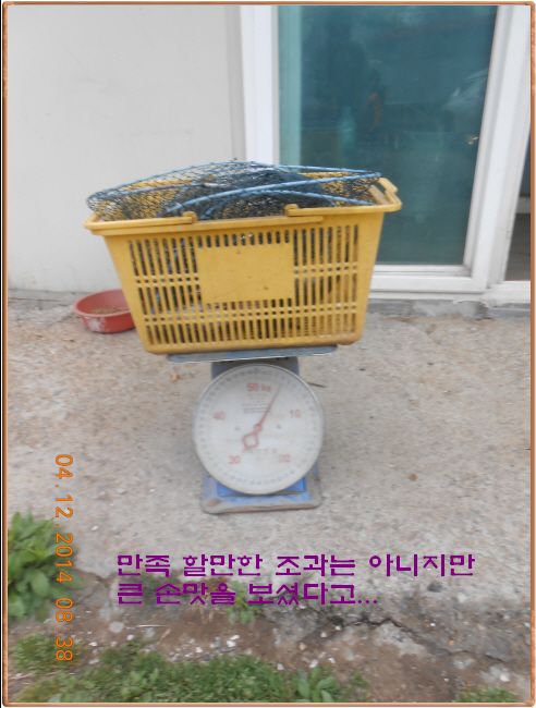ٹ̱_DSCN0479[1].jpg