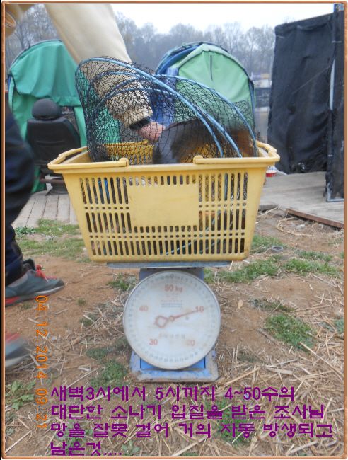 ٹ̱_DSCN0480[1].jpg