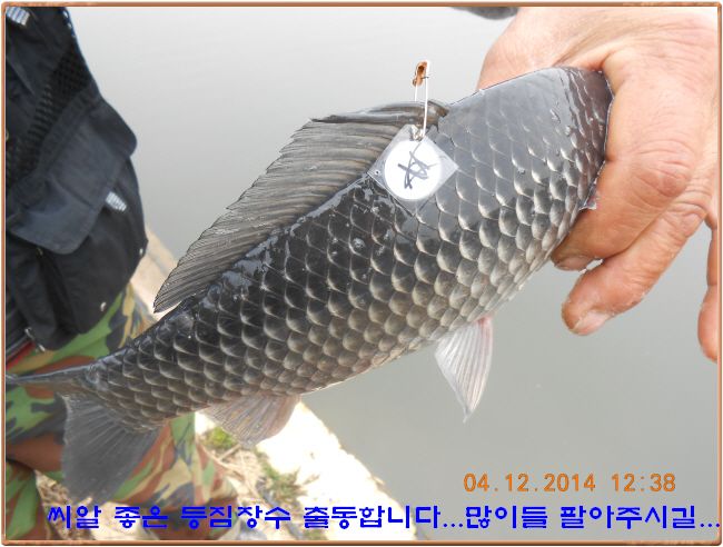 ٹ̱_DSCN0492[1].jpg