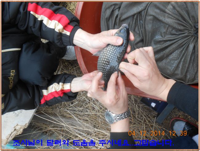 ٹ̱_DSCN0496[1].jpg