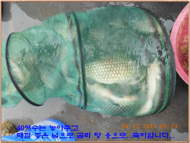 ٹ̱_DSCN0507[1].jpg