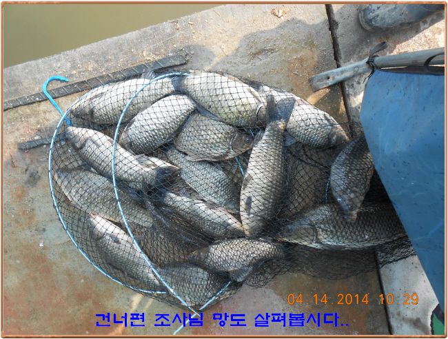 ٹ̱_DSCN0518[1].jpg