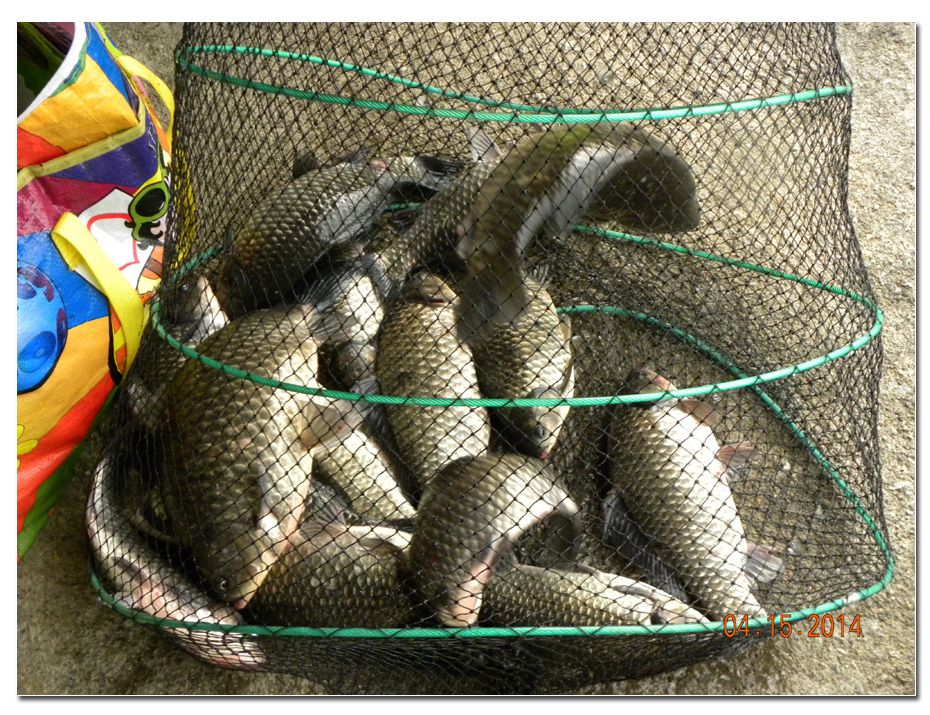 Untitled-3 copy 4.jpg