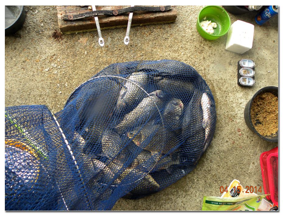 Untitled-3 copy 8.jpg