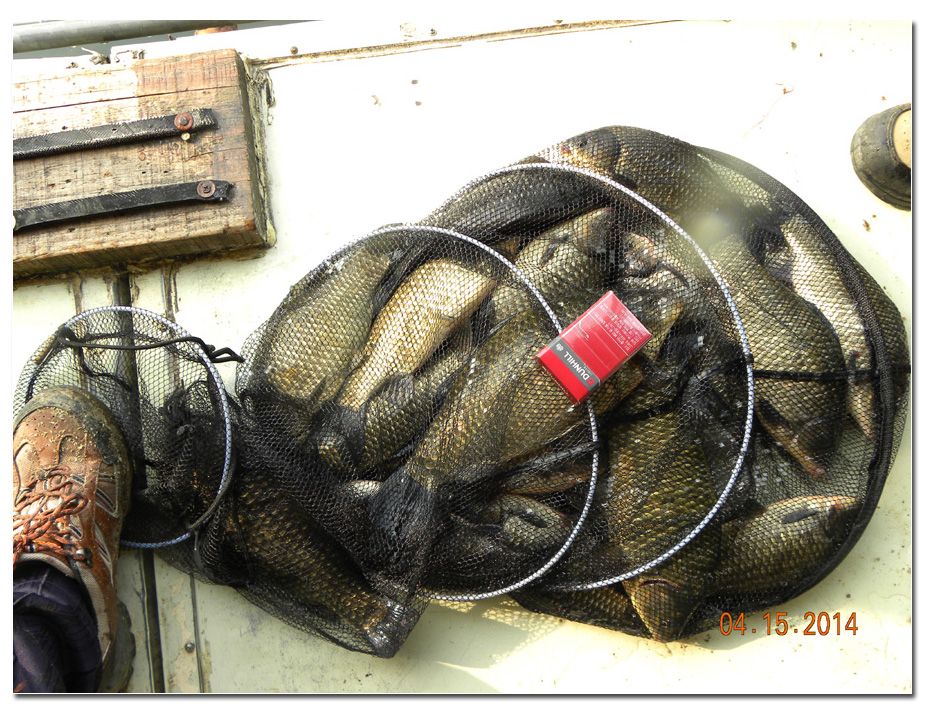 Untitled-3 copy 10.jpg