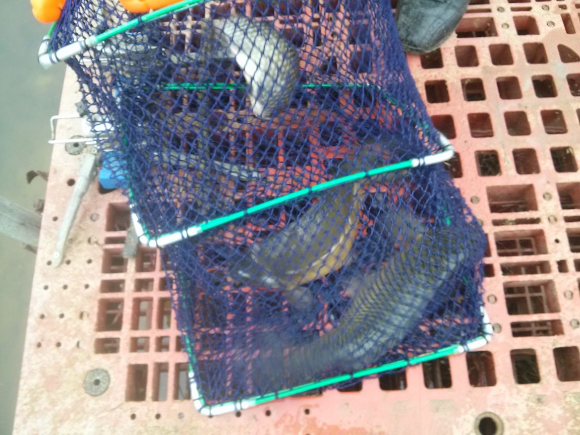 CAM00887.jpg