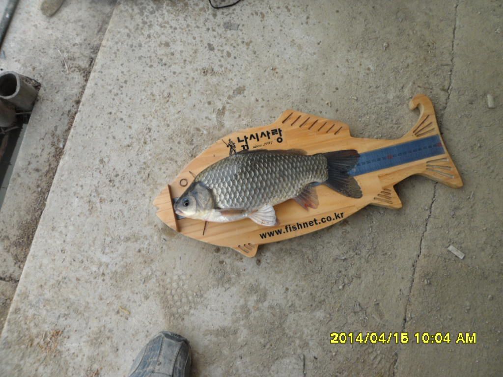 SAM_4600.JPG
