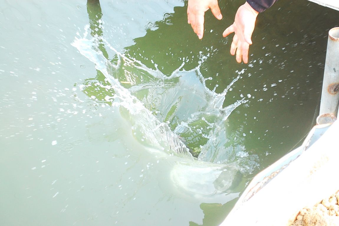 �ٹ̱�_DSC_0027.JPG