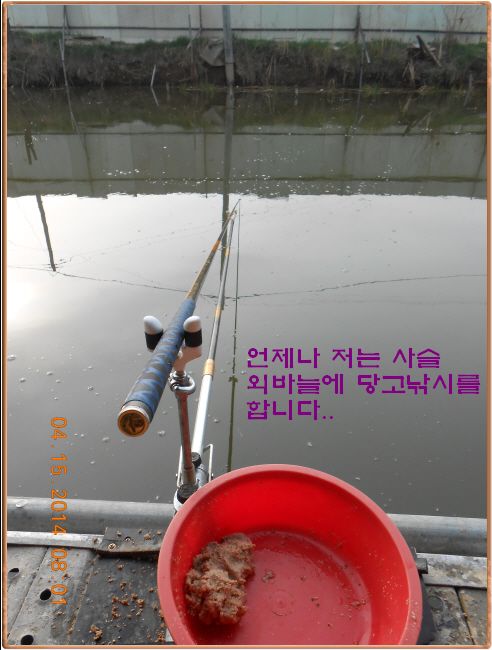 �ٹ̱�_DSCN0532[1].jpg