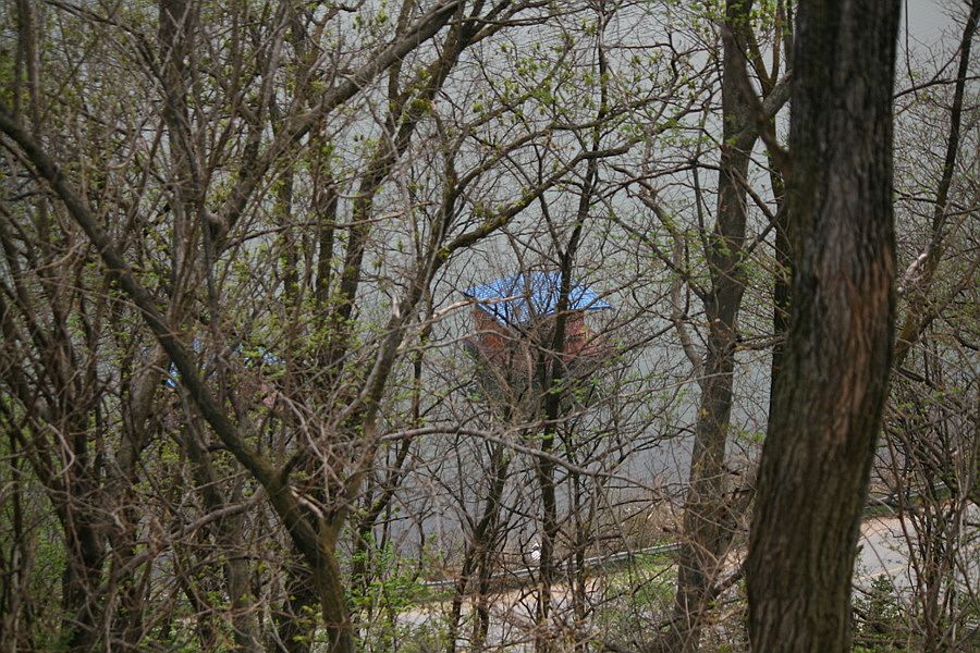 �ٹ̱�_�ݵ������� 787.jpg