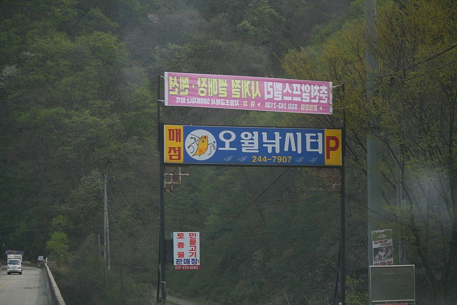 �ٹ̱�_�ݵ������� 798.jpg