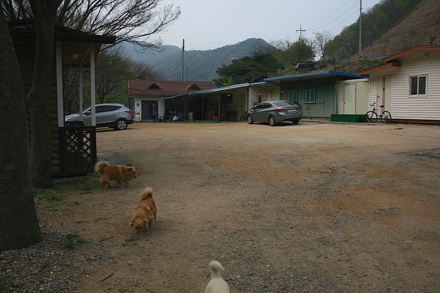 �ٹ̱�_�ݵ������� 802.jpg